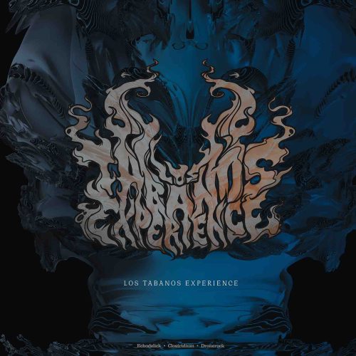 Los Tábanos Experience/Domboshawa split 12"